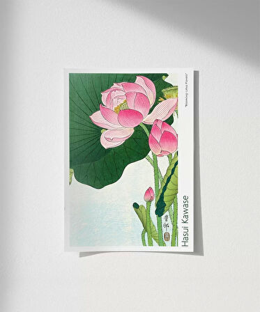 Çerçevesiz Poster Ohara Koson Çiçek Açan Lotus Çiçekleri 2
