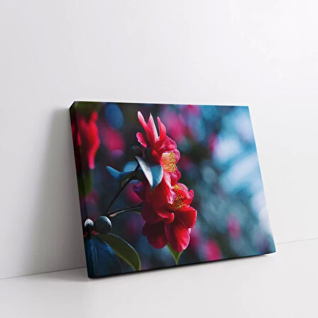 Kamelya Çiçeği Kanvas Tablo