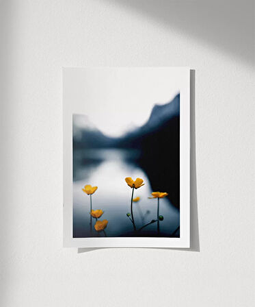 Çerçevesiz Poster Doğanın Altınları