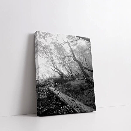 Ormanın Gizemi Kanvas Tablo