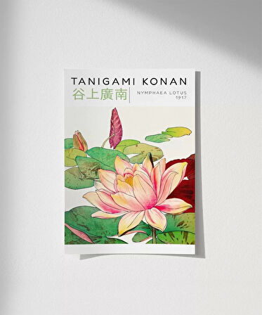 Çerçevesiz Poster Tanigami Konan Nymphaea Lotus