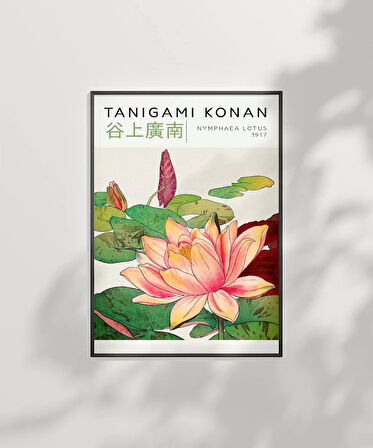 Çerçevesiz Poster Tanigami Konan Nymphaea Lotus