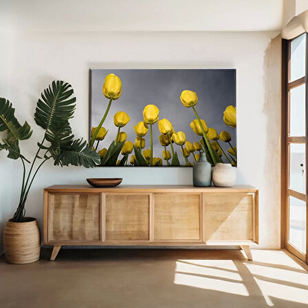 Uzanan Sarı Laleler Kanvas Tablo