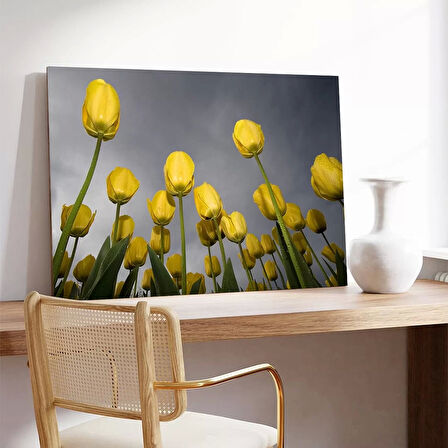 Uzanan Sarı Laleler Kanvas Tablo