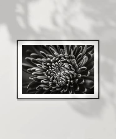 Çerçevesiz Poster Doğanın Geometrisi