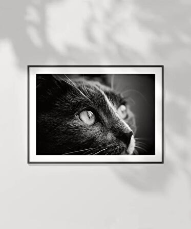 Çerçevesiz Poster Karanlığın Gözleri
