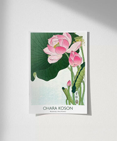 Çerçevesiz Poster Ohara Koson Çiçek Açan Lotus Çiçekleri 3