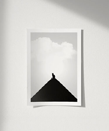 Çerçevesiz Poster Göğe Bakan Kedi