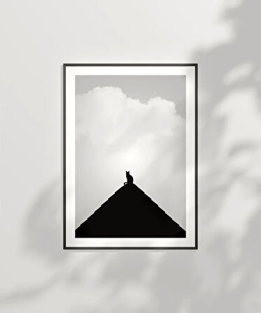 Çerçevesiz Poster Göğe Bakan Kedi