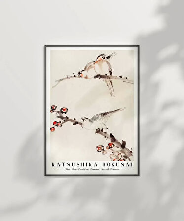 Çerçevesiz Poster Hokusai Dallara Tünemiş Üç Kuş
