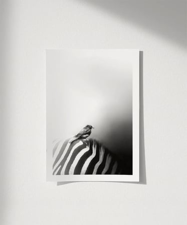 Çerçevesiz Poster Çizgilerin Üzerinde