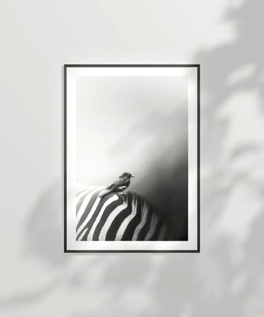 Çerçevesiz Poster Çizgilerin Üzerinde