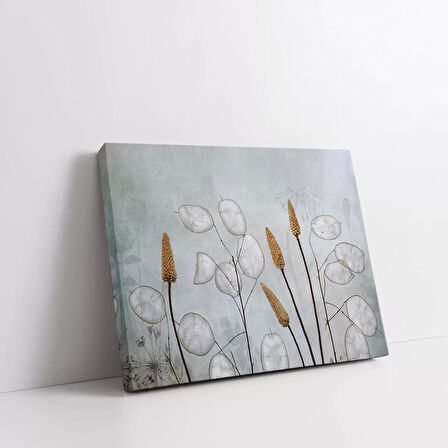 Lunaria Çiçeği Kanvas Tablo