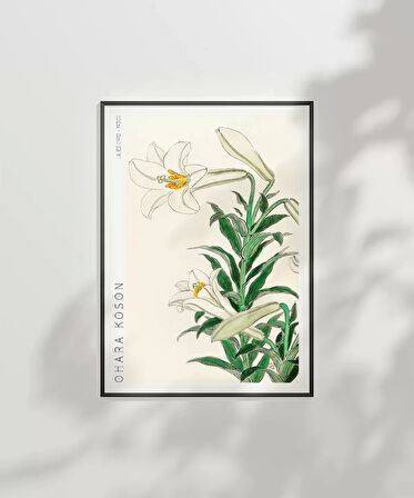 Çerçevesiz Poster Ohara Koson Zambaklar