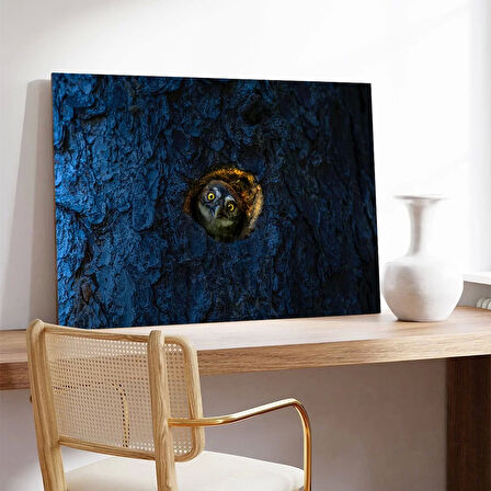 Gizemli Baykuş Kanvas Tablo