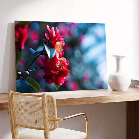 Kamelya Çiçeği Kanvas Tablo