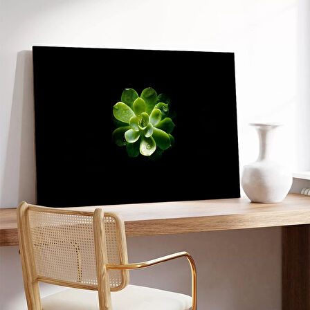 Yapraktaki Damla Kanvas Tablo