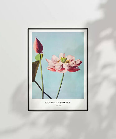 Çerçevesiz Poster Ogawa Kazumasa Lotus