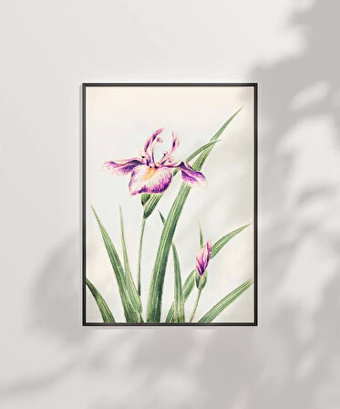 Çerçevesiz Poster Doğanın Fırça Darbeleri