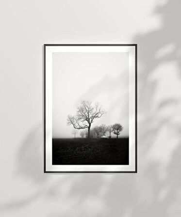 Çerçevesiz Poster Sessiz Bir Sabah