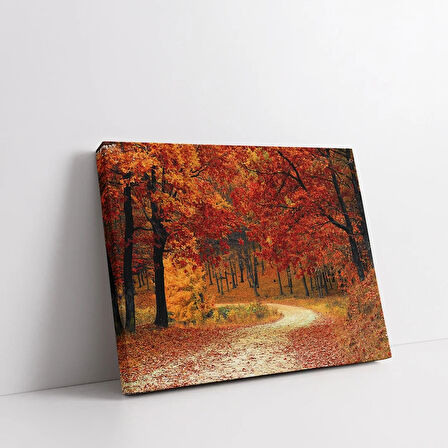 Sonbaharın Altın Yolu Kanvas Tablo