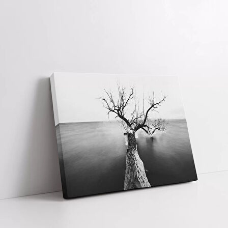 Kışın Kalbi Kanvas Tablo