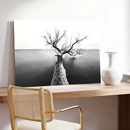 Kışın Kalbi Kanvas Tablo