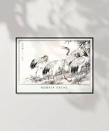 Çerçevesiz Poster Numata Kashu Kuşlar