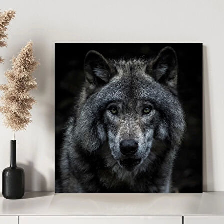 Yabani Bakışlar Kanvas Tablo