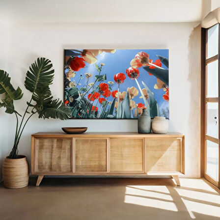 Gökyüzüne Uzanan Gelincikler Kanvas Tablo