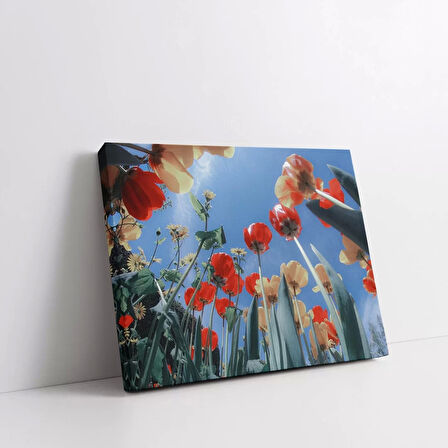 Gökyüzüne Uzanan Gelincikler Kanvas Tablo