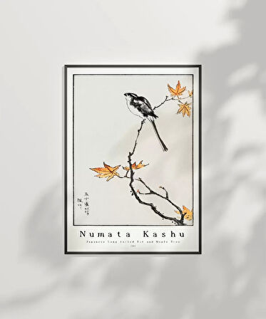 Çerçevesiz Poster Numata Kashu Japon Uzun Kuyruklu Baştankara ve Akçaağaç