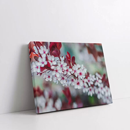 Kiraz Çiçekleri Kanvas Tablo