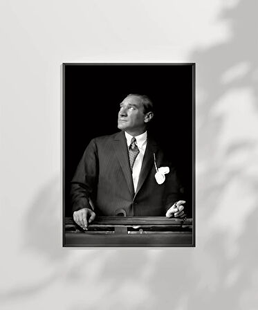 Çerçevesiz Poster Ufka Bakan Lider