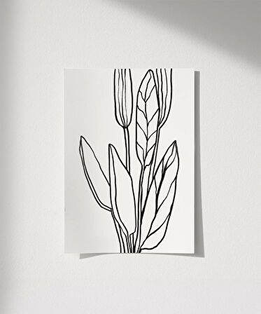 Çerçevesiz Poster Soyut Bitki Formları Grafik Sanat