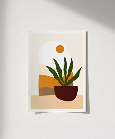 Çerçevesiz Poster Saksıda Sansevieria