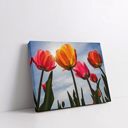 Pembe Sarı Laleler Kanvas Tablo