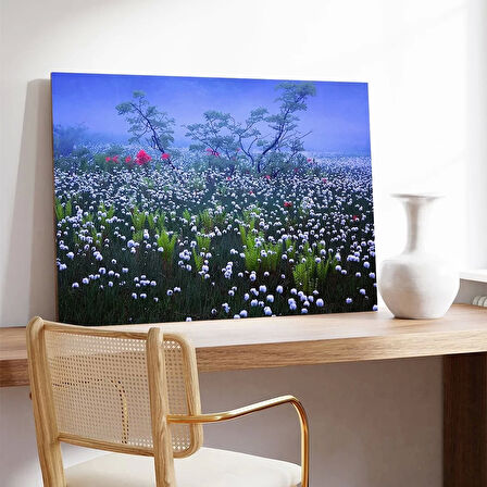 Tarlada Kır Çiçekleri Kanvas Tablo