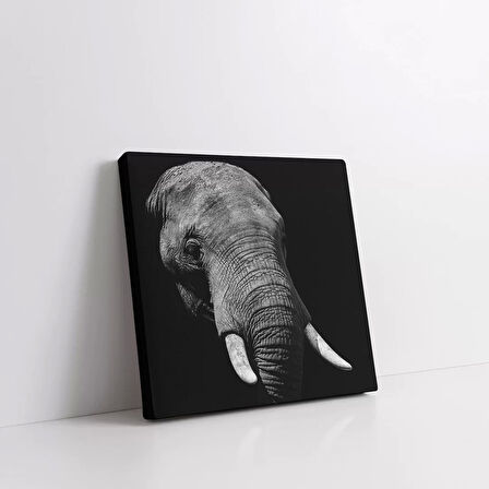 Savana Hikayeleri Kanvas Tablo