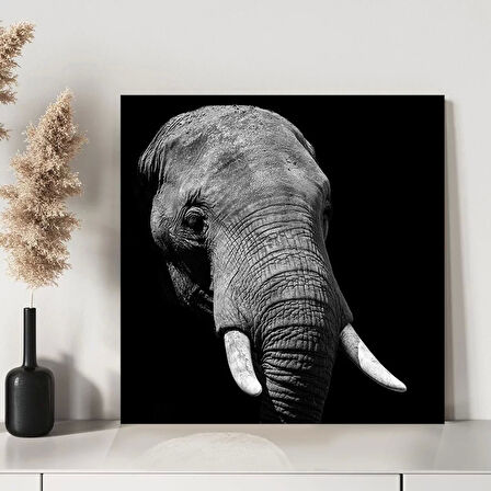 Savana Hikayeleri Kanvas Tablo