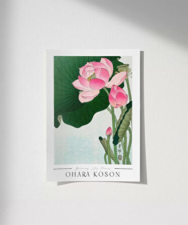 Çerçevesiz Poster Ohara Koson Çiçek Açan Lotus