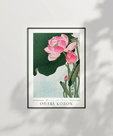 Çerçevesiz Poster Ohara Koson Çiçek Açan Lotus