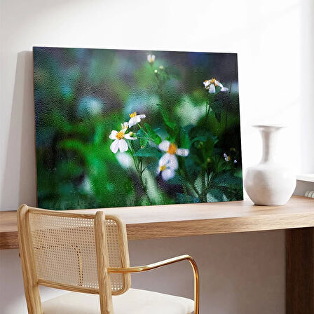 Papatya Kanvas Tablo