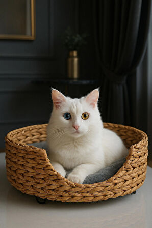Dekoratif Hasır Kedi Köpek Yatağı Sepet 46x35x36cm