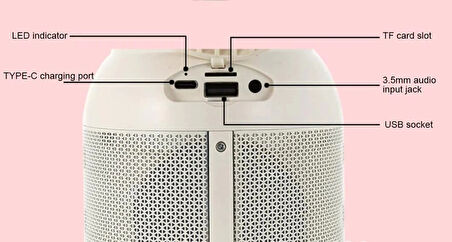 Vintage Lamba 3′ü 1 Arada 2 adet Mikrofon TF-Card Bluetooth Kamp Lambası Dış Mekan Karaoke Hoparlör