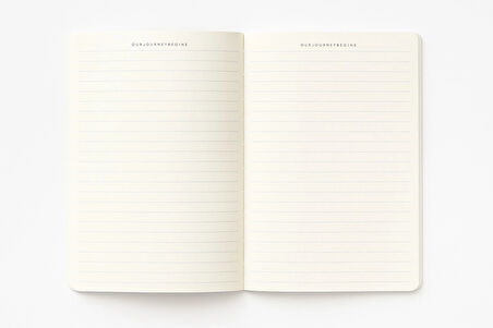 Ajanda Günlük Çizgili Not Defteri Notebook Pembe Balon