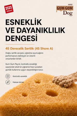 Eco Gum Gum Dog Serisi Doğal Kauçuk Peynir Köpek Oyuncağı - Küçük Irk & Yavru - Çiğneme & At / Getir Oyuncağı