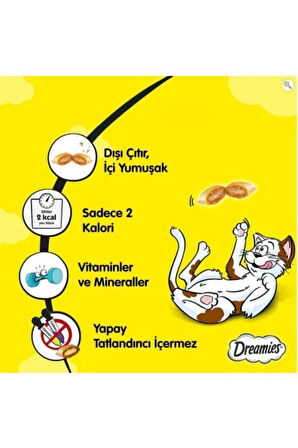 Dreamies Mix Kedi Ödül Maması Peynirli-somonlu 60 gr X 24 Adet