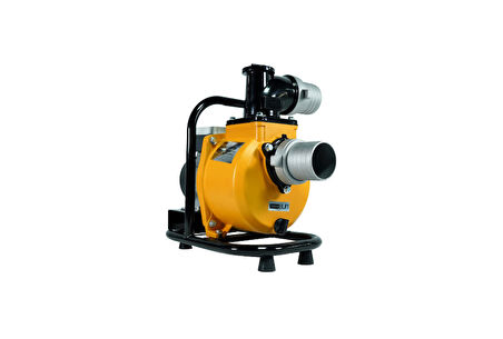 MEXXSUN DC Yüzey Pompa 2Hp 1500W (SFP29-13-1500W/110V)