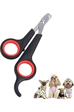 2'li Set Evcil Kedi Köpek Tırnak Makası Tüy Toplama Eldiveni Ve Makas